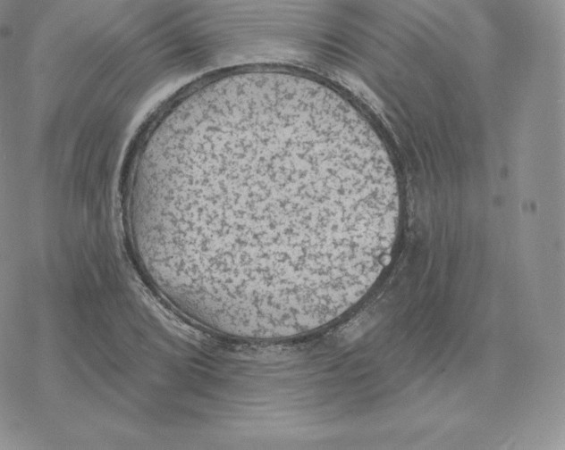 X0000077321072200611171737