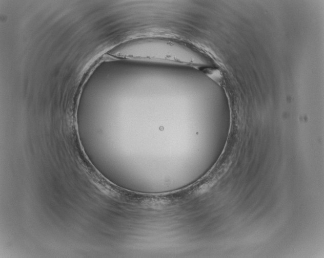 X0000077321073200611171736