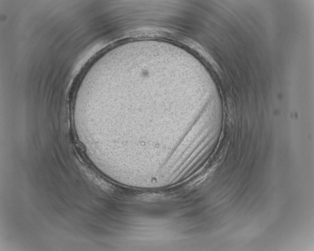 X0000077321075200611171736