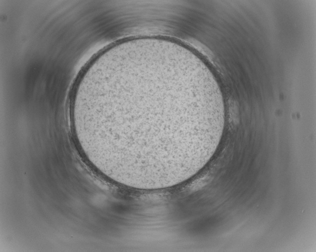 X0000077321078200611171736