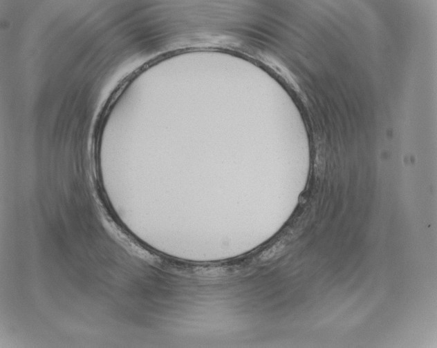 X0000077321080200611171736