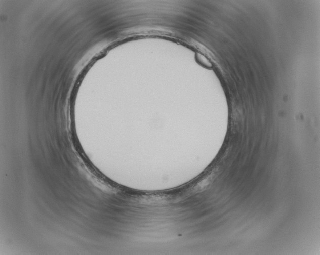 X0000077321082200611171736