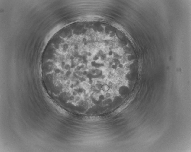 X0000077321083200611171736