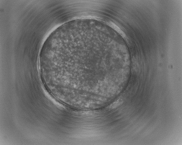 X0000077321084200611171736