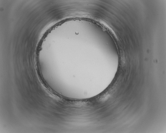 X0000077321085200611171736