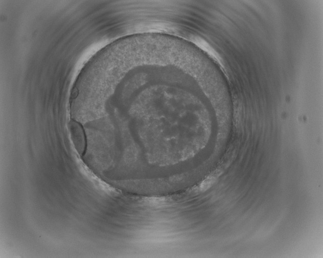 X0000077321088200611171736