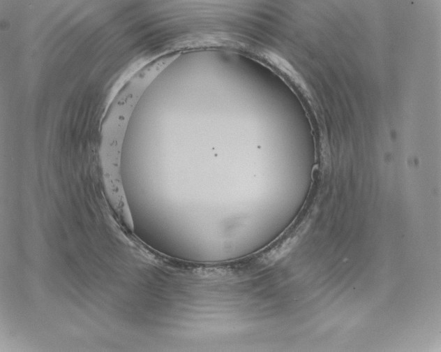 X0000077321089200611171736