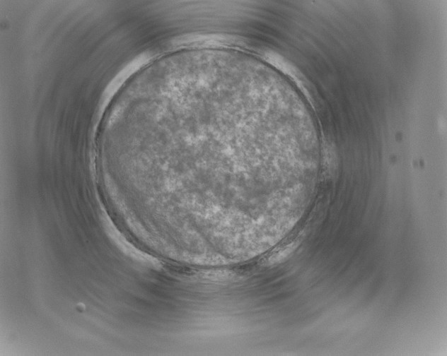 X0000077321090200611171736