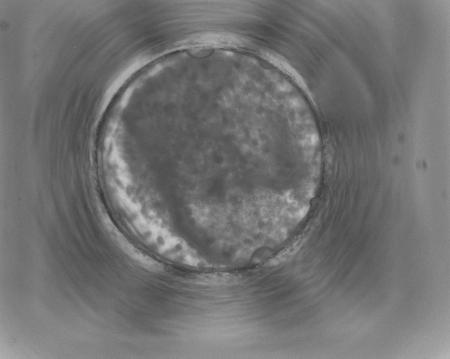 X0000077321091200611171736