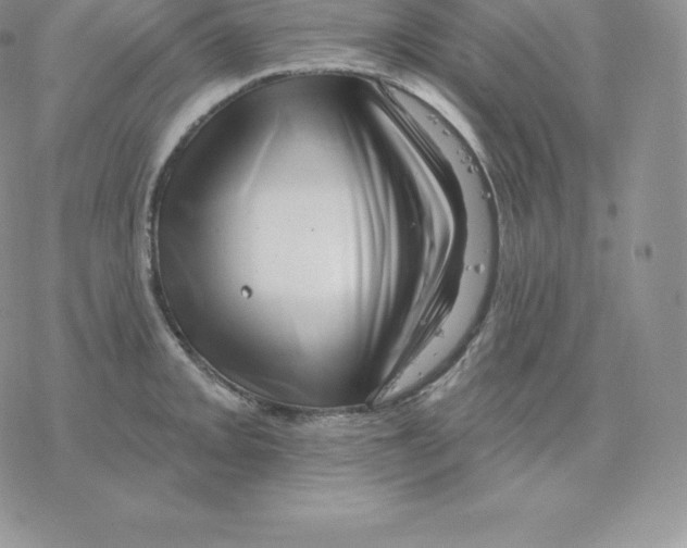 X0000077321093200611171736