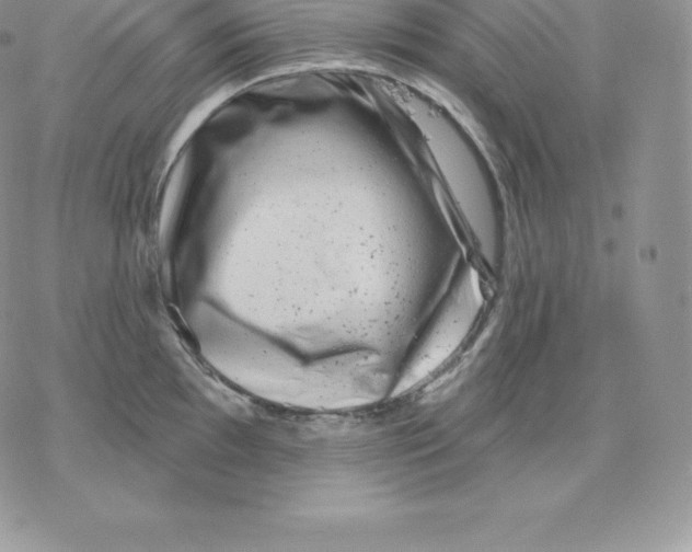 X0000077321097200611171736