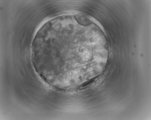 X0000077321099200611171736