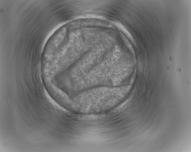 X0000077321100200611171736