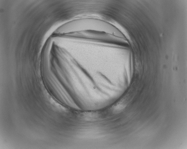 X0000077321102200611171736