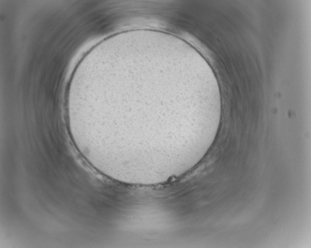 X0000077321104200611171736