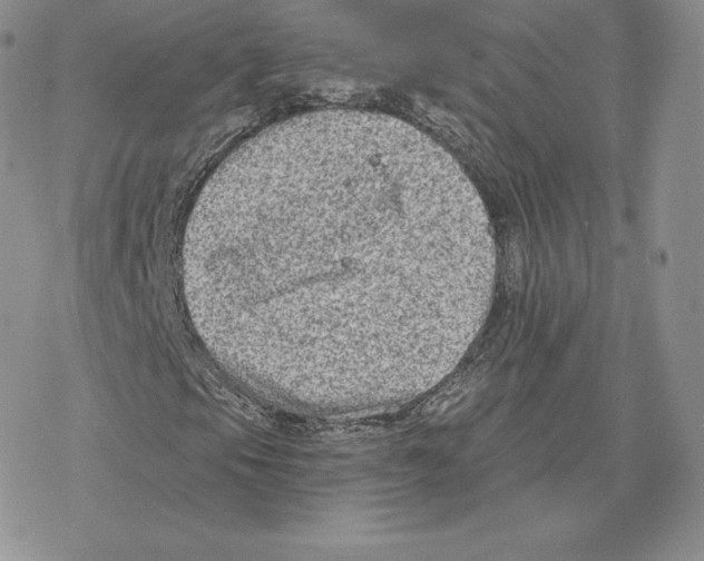 X0000077321105200611171735