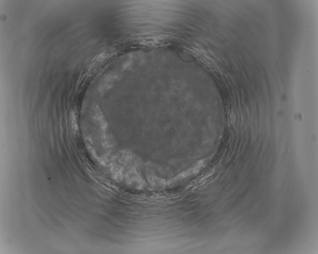 X0000077321106200611171735