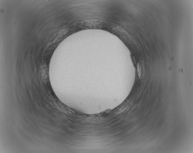 X0000077321107200611171735