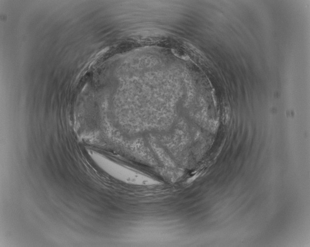 X0000077321108200611171735