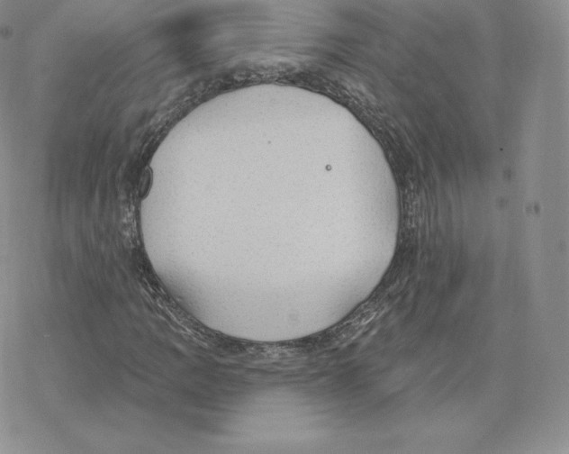 X0000077321109200611171735