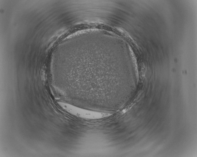 X0000077321110200611171735