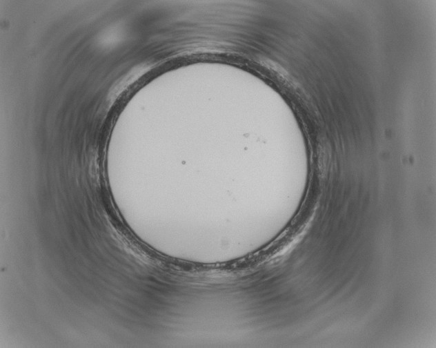 X0000077321113200611171735