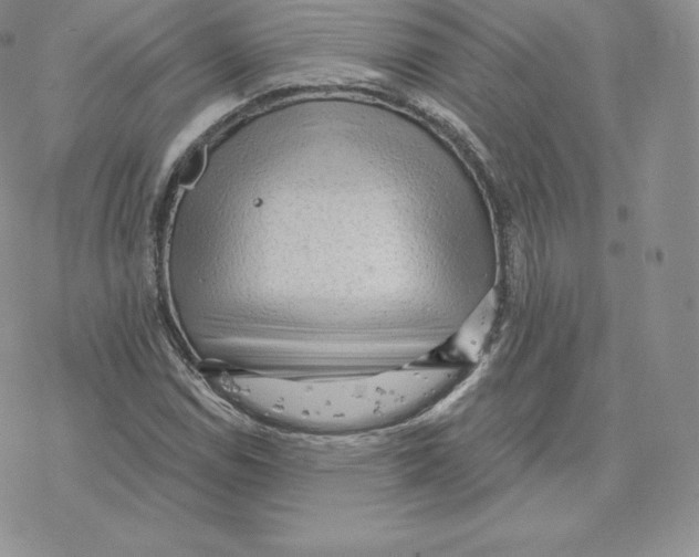 X0000077321114200611171735