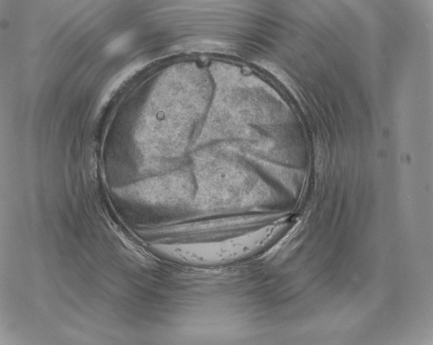 X0000077321115200611171735