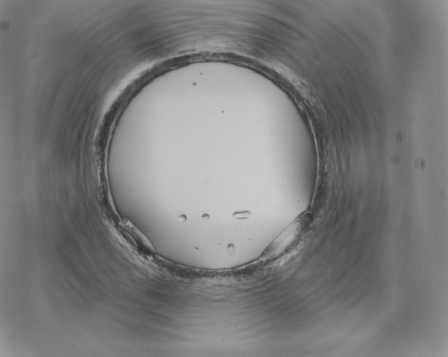 X0000077321118200611171735