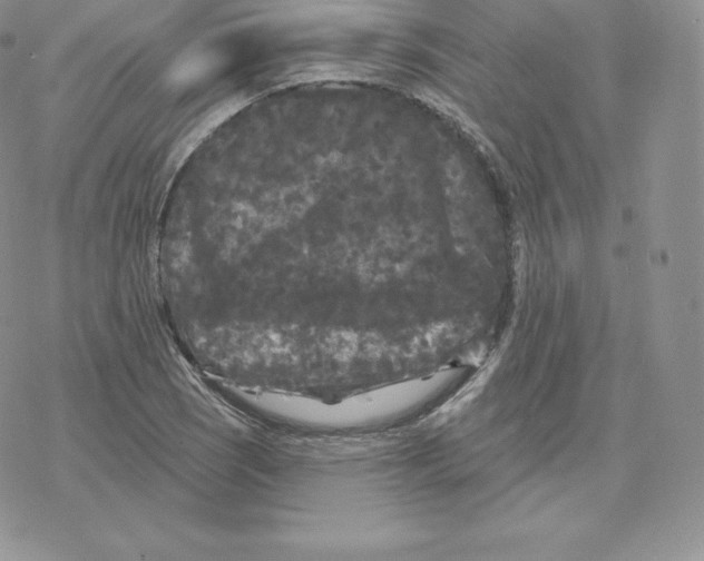 X0000077321121200611171735