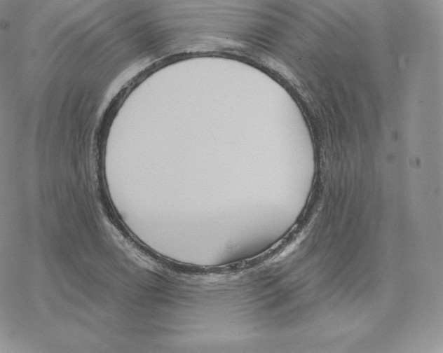 X0000077321122200611171735