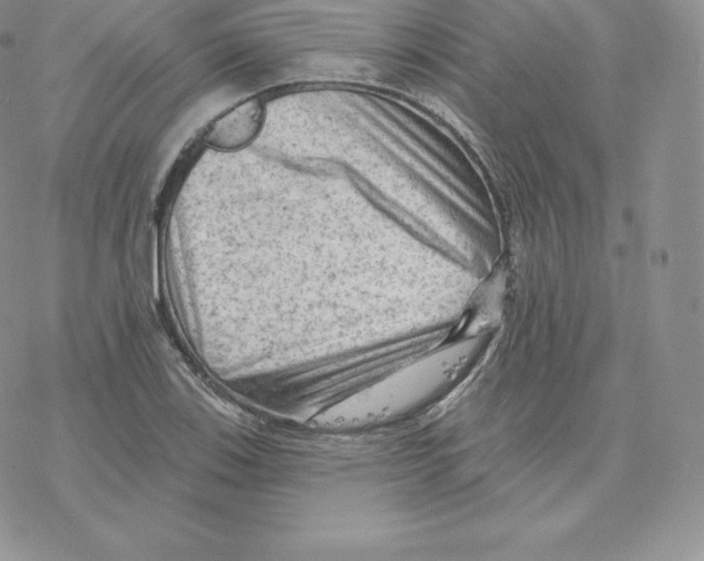 X0000077321123200611171735