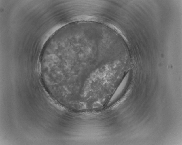 X0000077321125200611171736