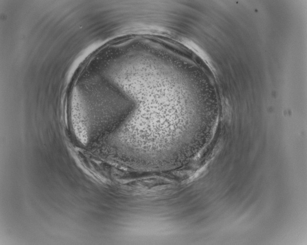 X0000077321128200611171736