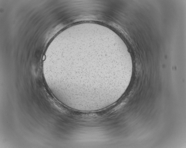 X0000077321129200611171736