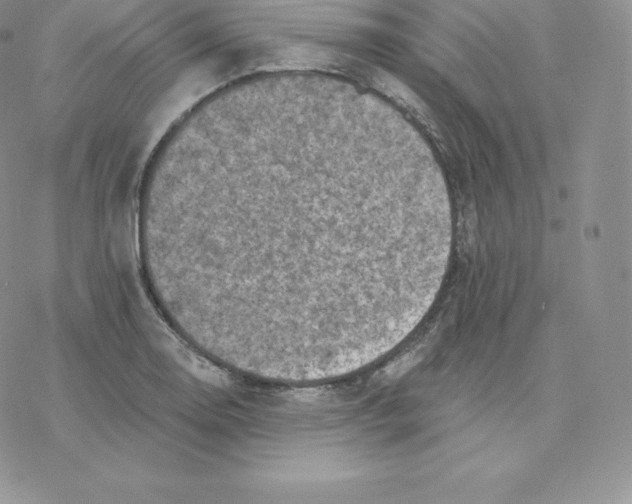 X0000077321130200611171736