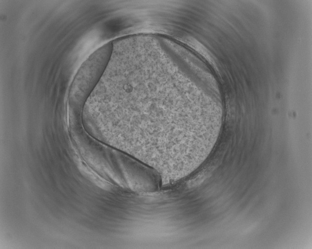 X0000077321132200611171736