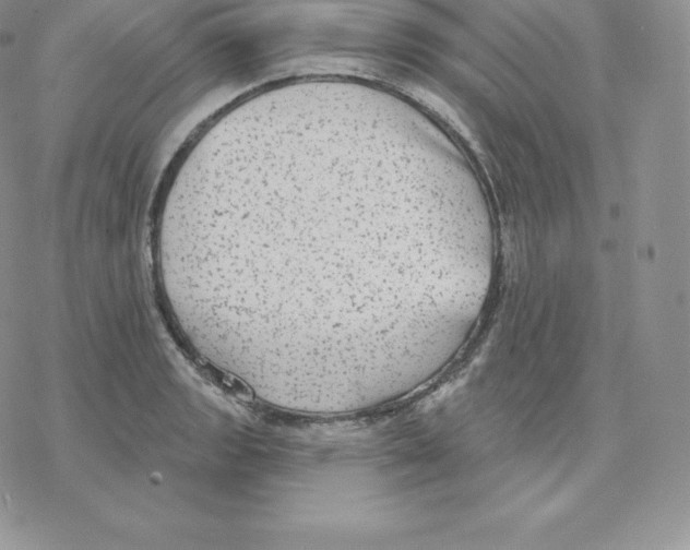 X0000077321133200611171736