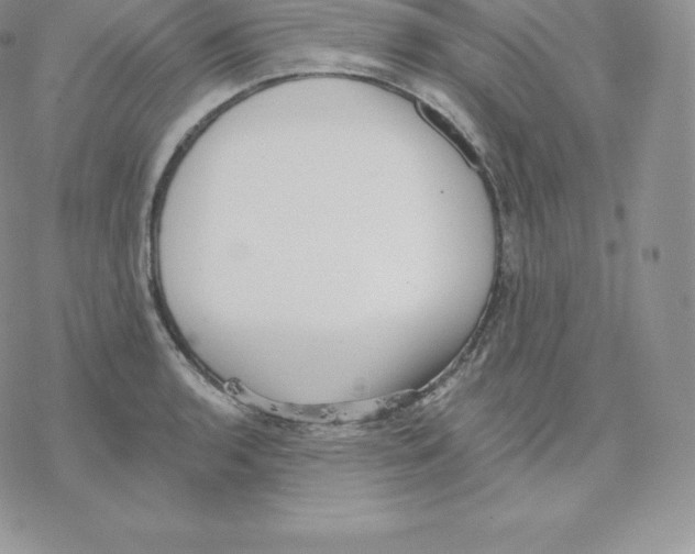 X0000077321136200611171736