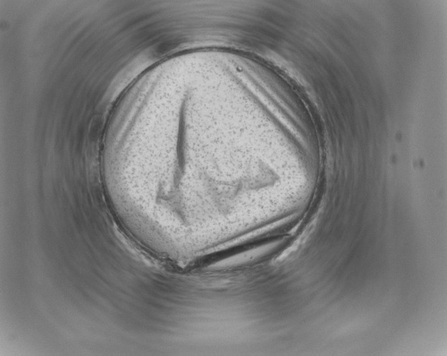 X0000077321137200611171736