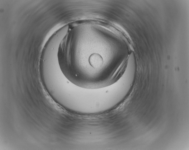 X0000077321138200611171736