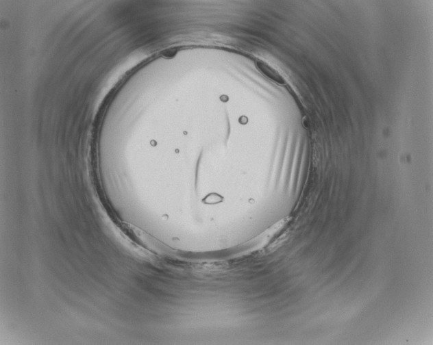 X0000077321139200611171736