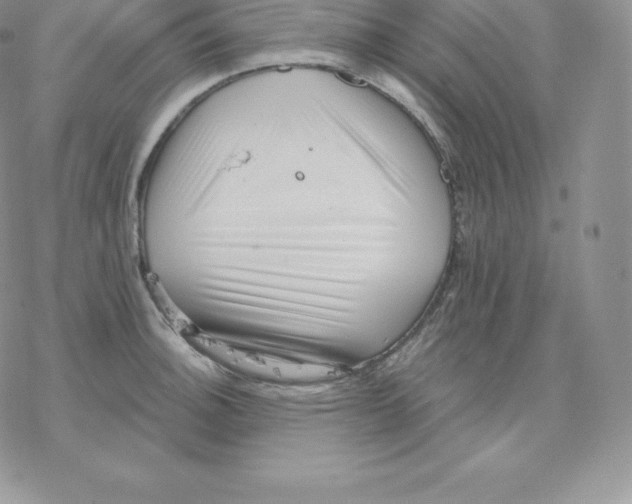 X0000077321140200611171736