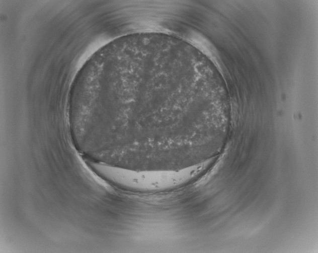 X0000077321141200611171736