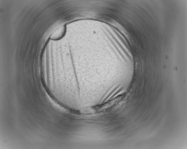 X0000077321143200611171736