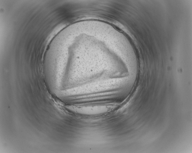 X0000077321145200611171736