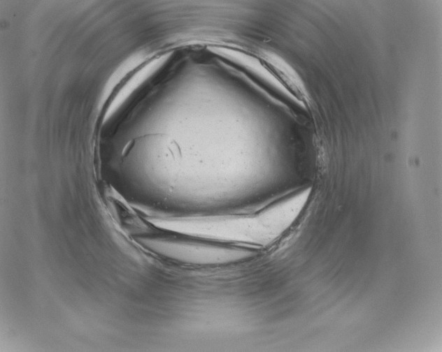 X0000077321146200611171736