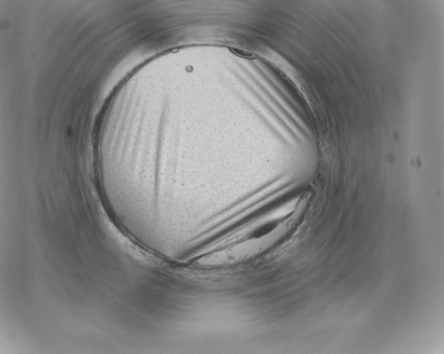 X0000077321147200611171736