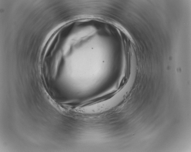 X0000077321148200611171736