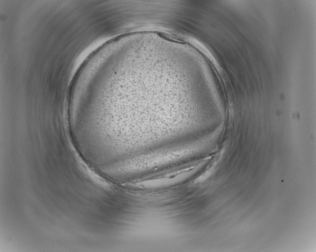 X0000077321149200611171736